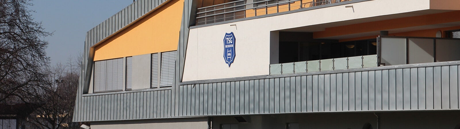 Vorstand der TSG Weinheim 