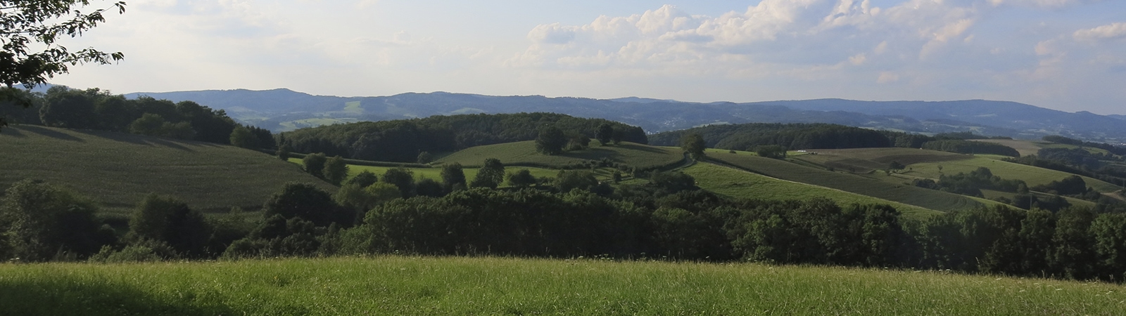 Wandern der TSG Weinheim