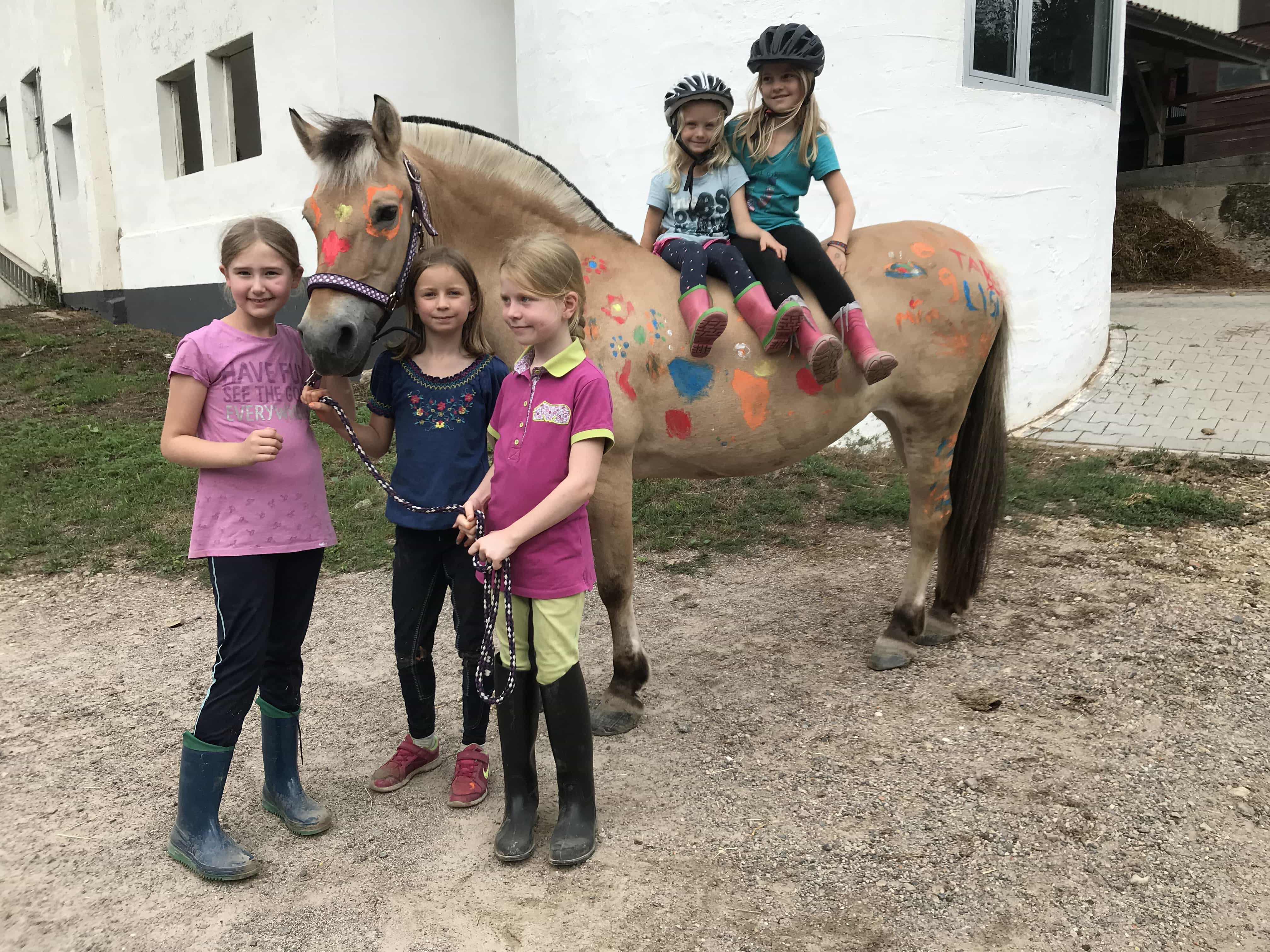 Pferde-Feriencamp