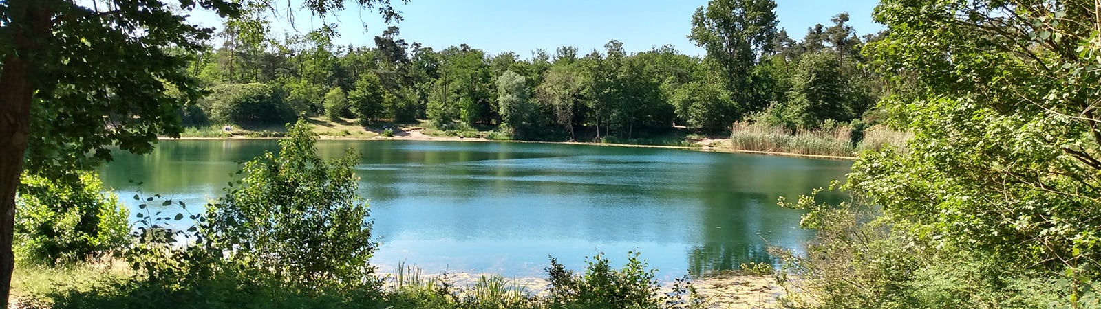 TSG Weinheim - Schwimmkurs