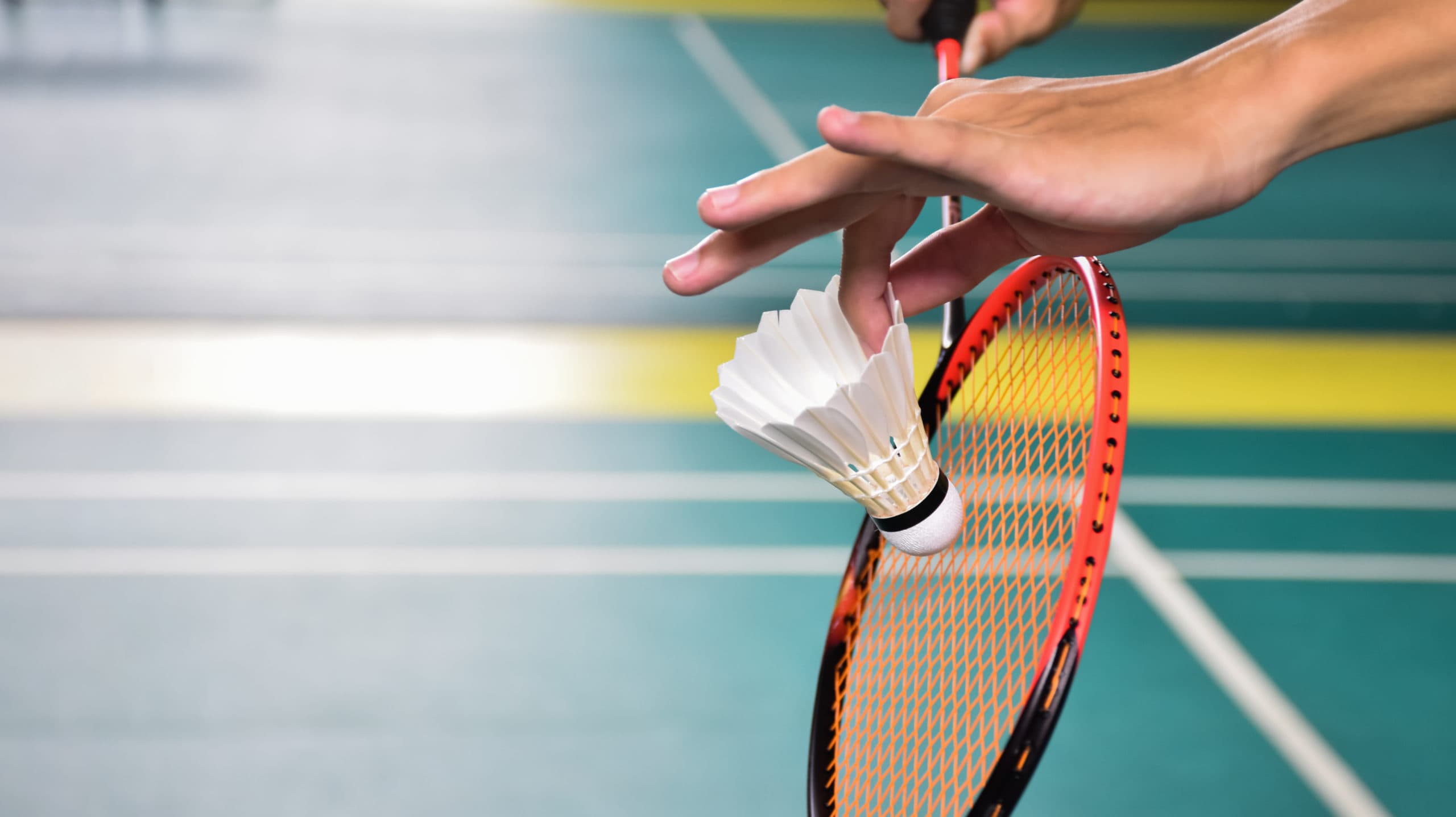 Badminton Jugend auf Ranglisten erfolgreich TSG 1862 Weinheim e V