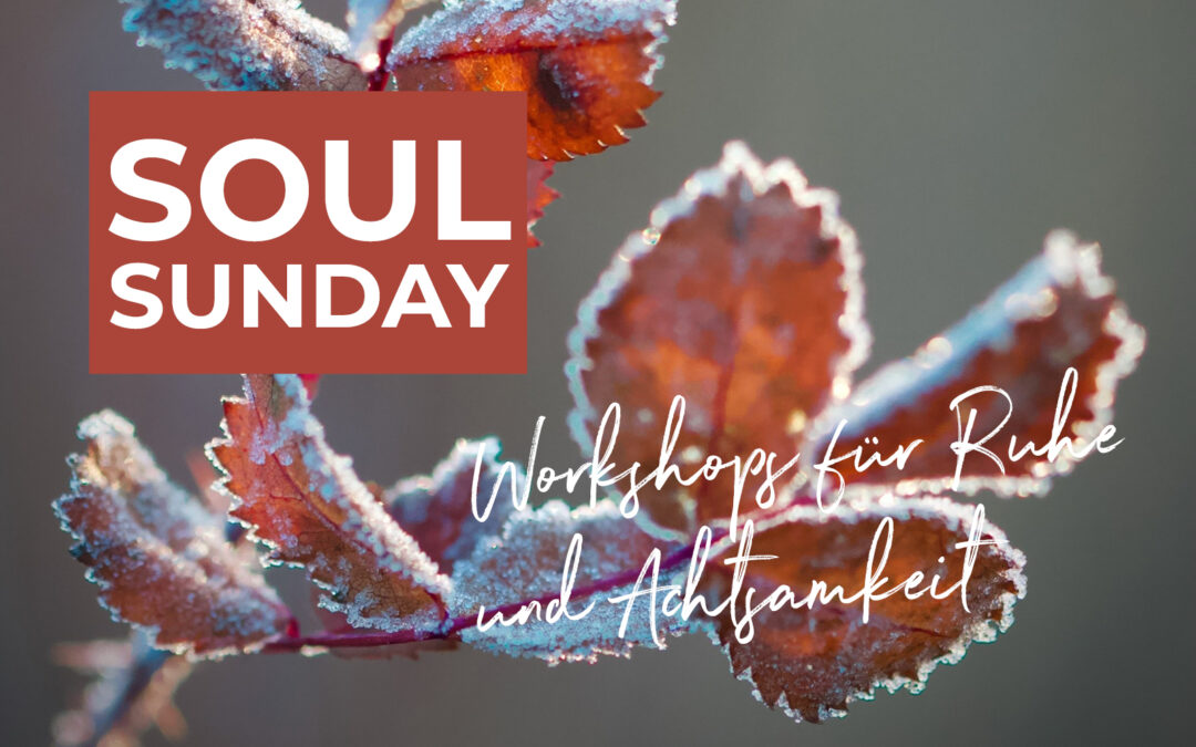 Inseln der Ruhe – Workshops für Körper, Geist & Seele