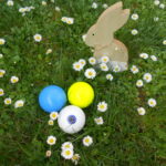 Fotos: Hockey Weinheim