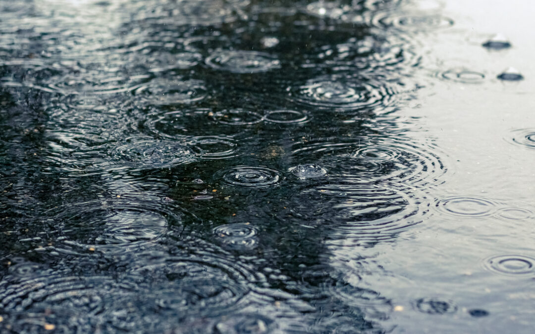 Wetterbedingte Verschiebung: TSG-Waldschwimmbad öffnet später